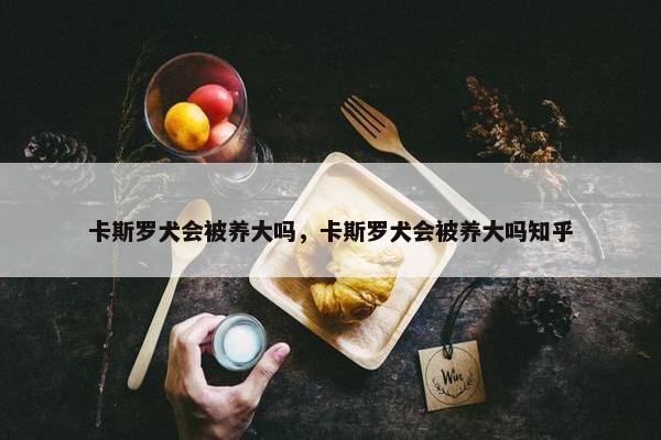 卡斯罗犬会被养大吗，卡斯罗犬会被养大吗知乎