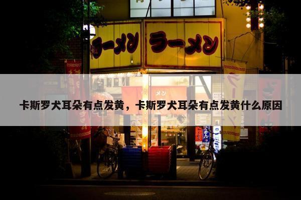 卡斯罗犬耳朵有点发黄，卡斯罗犬耳朵有点发黄什么原因