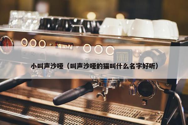 小叫声沙哑（叫声沙哑的猫叫什么名字好听）