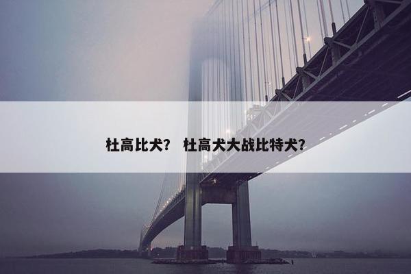 杜高比犬？ 杜高犬大战比特犬？