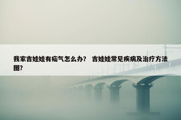 我家吉娃娃有疝气怎么办？ 吉娃娃常见疾病及治疗方法图？