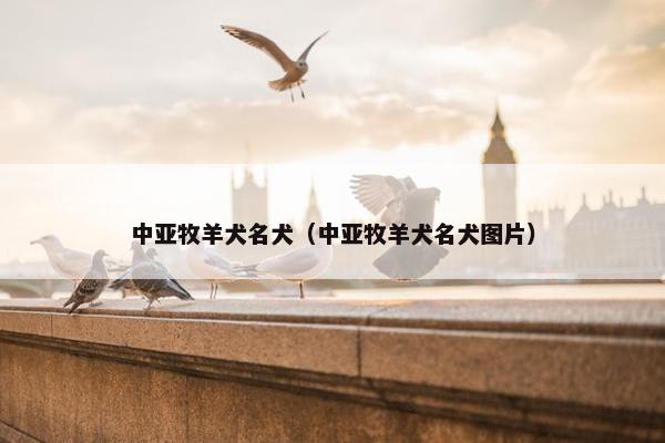 中亚牧羊犬名犬（中亚牧羊犬名犬图片）