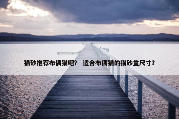 猫砂推荐布偶猫吧？ 适合布偶猫的猫砂盆尺寸？