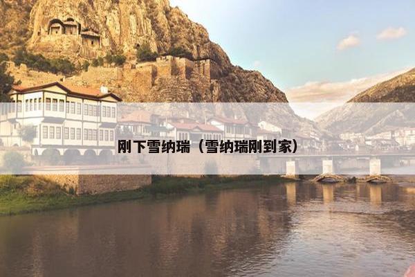 刚下雪纳瑞（雪纳瑞刚到家）