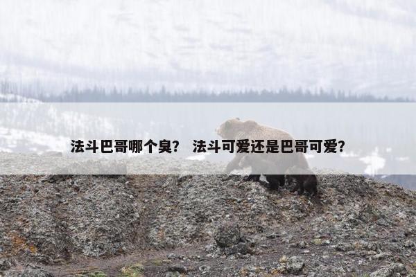 法斗巴哥哪个臭？ 法斗可爱还是巴哥可爱？