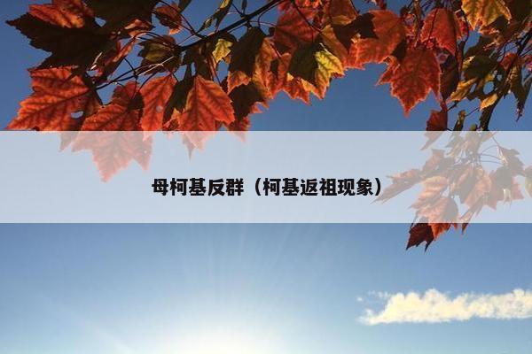 母柯基反群（柯基返祖现象）