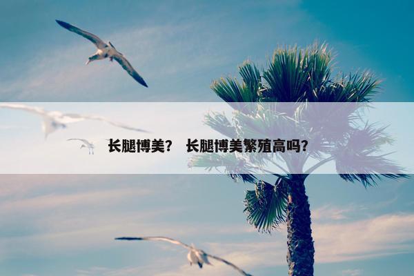 长腿博美？ 长腿博美繁殖高吗？