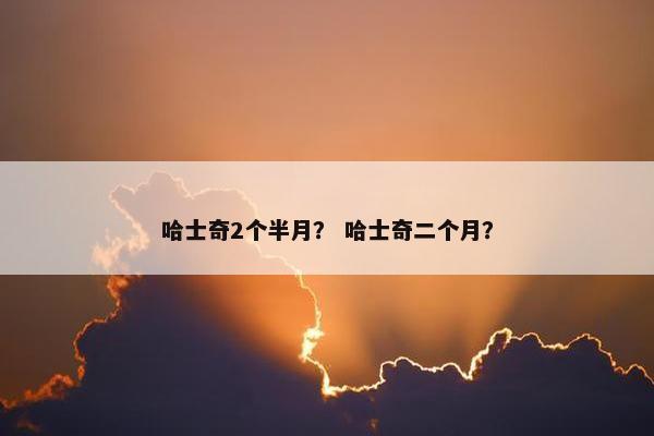 哈士奇2个半月？ 哈士奇二个月？