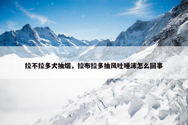 拉不拉多犬抽烟，拉布拉多抽风吐唾沫怎么回事