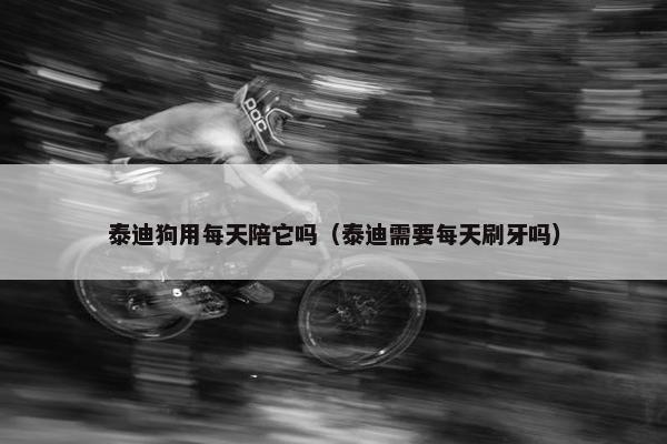泰迪狗用每天陪它吗（泰迪需要每天刷牙吗）