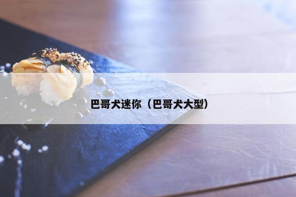 巴哥犬迷你（巴哥犬大型）