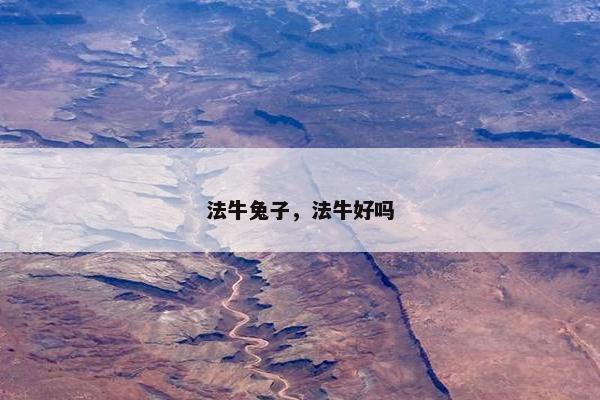 法牛兔子，法牛好吗