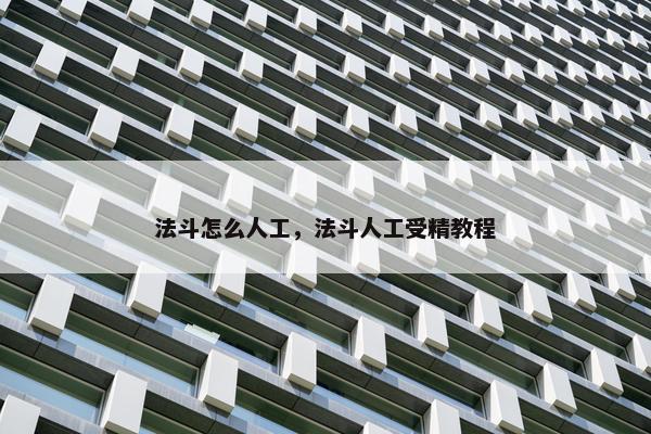 法斗怎么人工，法斗人工受精教程