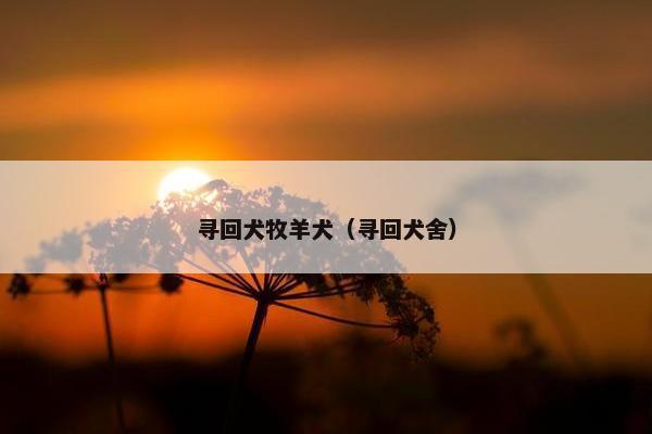 寻回犬牧羊犬（寻回犬舍）