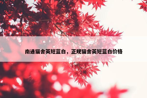 南通猫舍英短蓝白，正规猫舍英短蓝白价格
