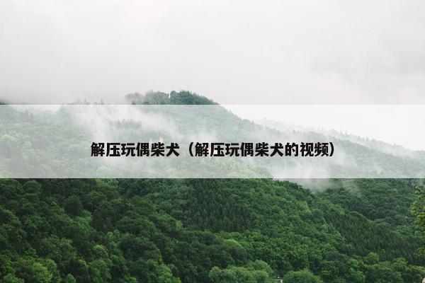 解压玩偶柴犬（解压玩偶柴犬的视频）