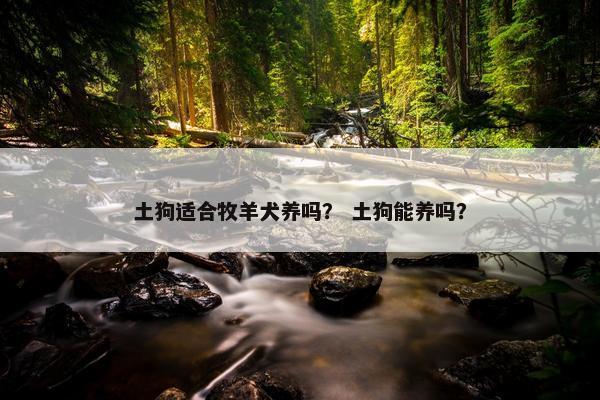 土狗适合牧羊犬养吗？ 土狗能养吗？