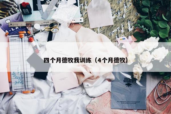 四个月德牧我训练（4个月德牧）