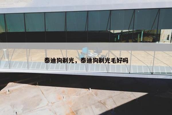 泰迪狗剃光，泰迪狗剃光毛好吗