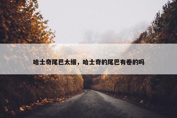 哈士奇尾巴太细，哈士奇的尾巴有卷的吗
