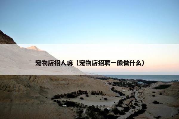 宠物店招人嘛（宠物店招聘一般做什么）