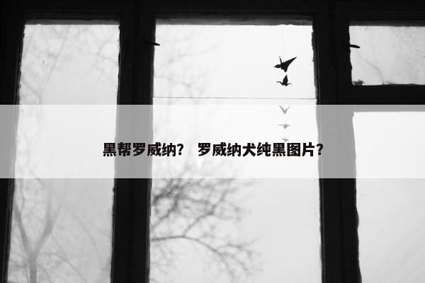 黑帮罗威纳？ 罗威纳犬纯黑图片？