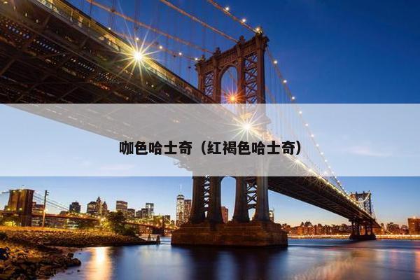咖色哈士奇（红褐色哈士奇）
