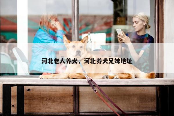 河北老人养犬，河北养犬兄妹地址