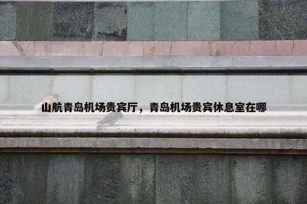 山航青岛机场贵宾厅，青岛机场贵宾休息室在哪
