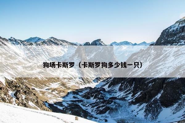 狗场卡斯罗（卡斯罗狗多少钱一只）