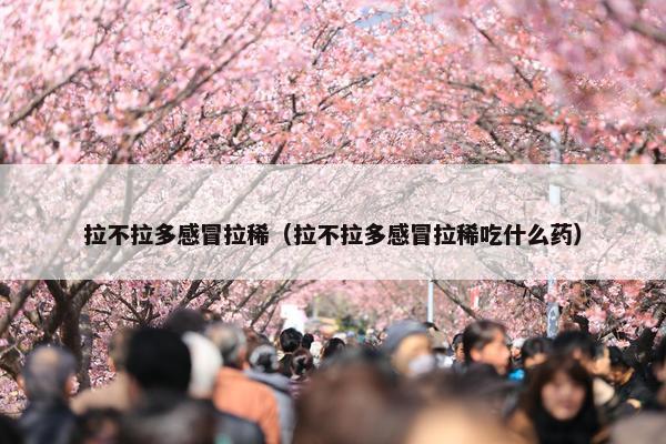 拉不拉多感冒拉稀（拉不拉多感冒拉稀吃什么药）