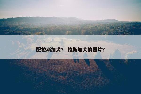 配拉斯加犬？ 拉斯加犬的图片？