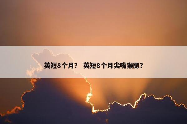 英短8个月？ 英短8个月尖嘴猴腮？