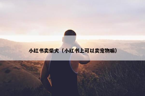 小红书卖柴犬（小红书上可以卖宠物嘛）