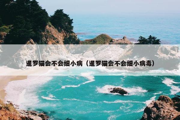 暹罗猫会不会细小病（暹罗猫会不会细小病毒）