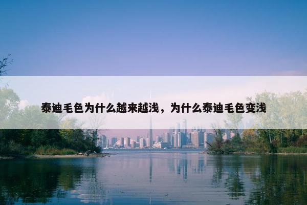 泰迪毛色为什么越来越浅，为什么泰迪毛色变浅