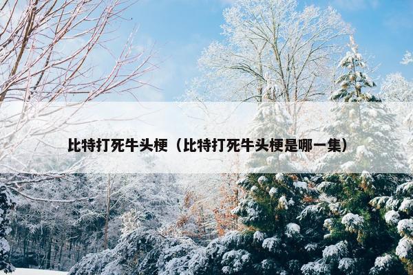 比特打死牛头梗（比特打死牛头梗是哪一集）