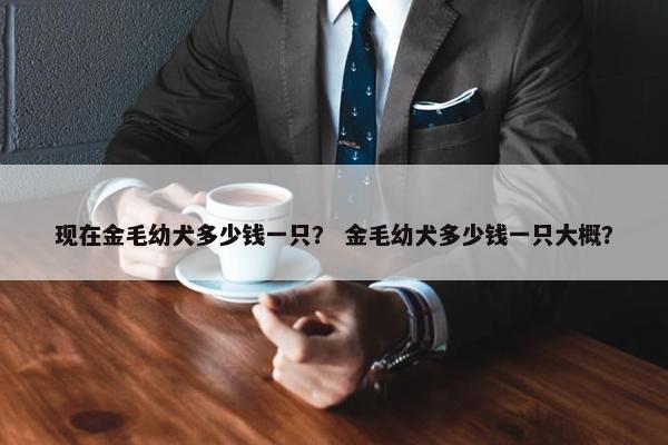 现在金毛幼犬多少钱一只？ 金毛幼犬多少钱一只大概？