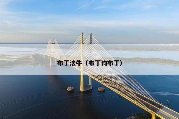 布丁法牛（布丁狗布丁）