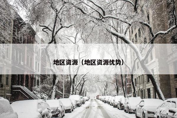 地区资源（地区资源优势）