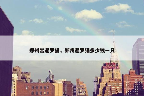 郑州出暹罗猫，郑州暹罗猫多少钱一只