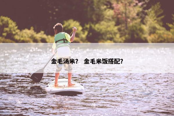 金毛汤米？ 金毛米饭搭配？
