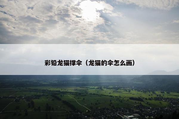 彩铅龙猫撑伞（龙猫的伞怎么画）