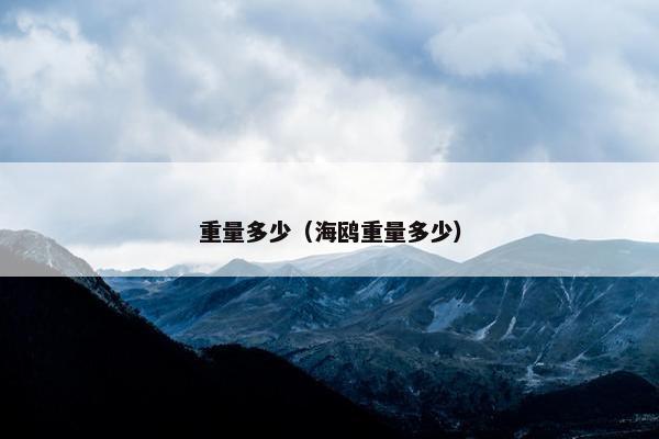 重量多少（海鸥重量多少）