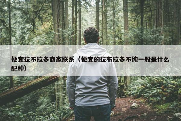 便宜拉不拉多商家联系（便宜的拉布拉多不纯一般是什么配种）