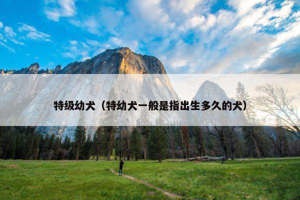 特级幼犬（特幼犬一般是指出生多久的犬）