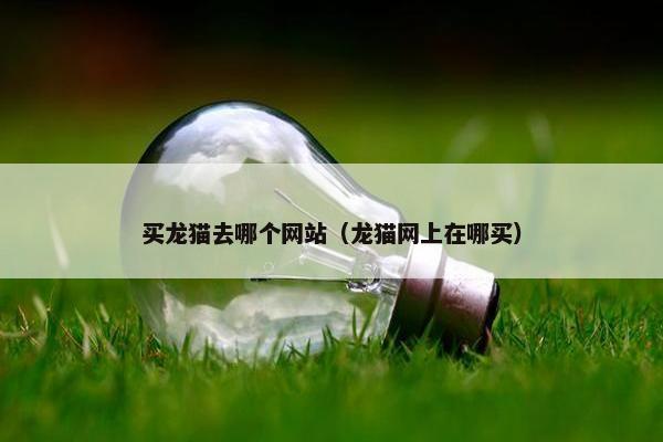 买龙猫去哪个网站（龙猫网上在哪买）