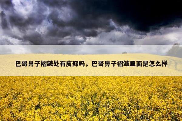 巴哥鼻子褶皱处有皮藓吗，巴哥鼻子褶皱里面是怎么样
