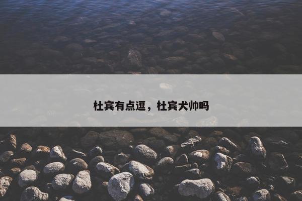 杜宾有点逗，杜宾犬帅吗