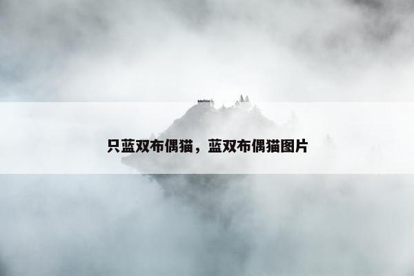 只蓝双布偶猫，蓝双布偶猫图片